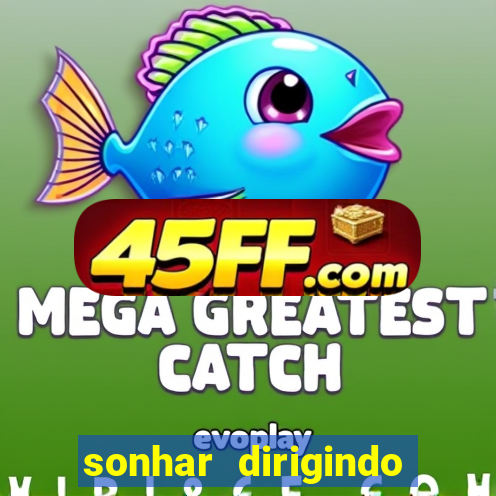sonhar dirigindo carro jogo do bicho